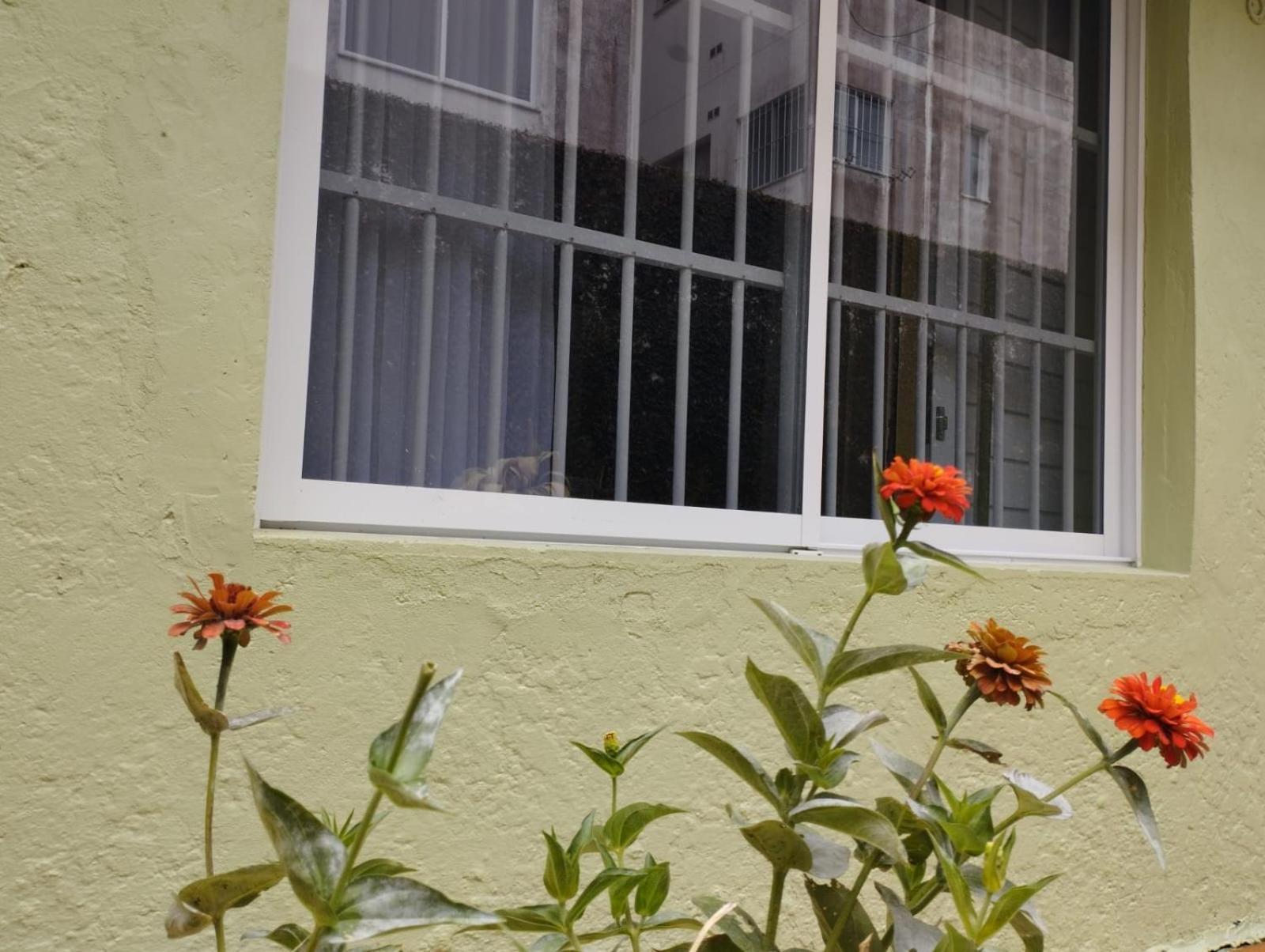 Charmoso Apto Com Clima De Casa Em Canasvieiras Florianópolis Eksteriør bilde